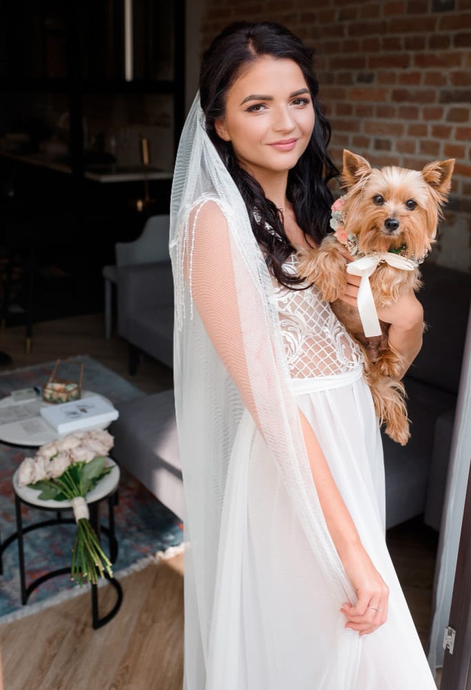 Image of Dog-friendly weddings celebration