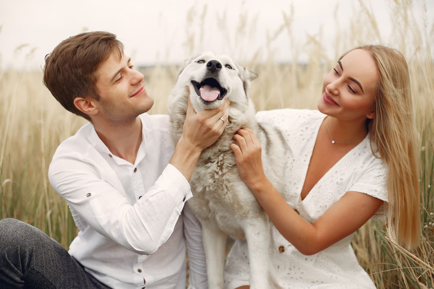 Image of Dog-friendly weddings planning